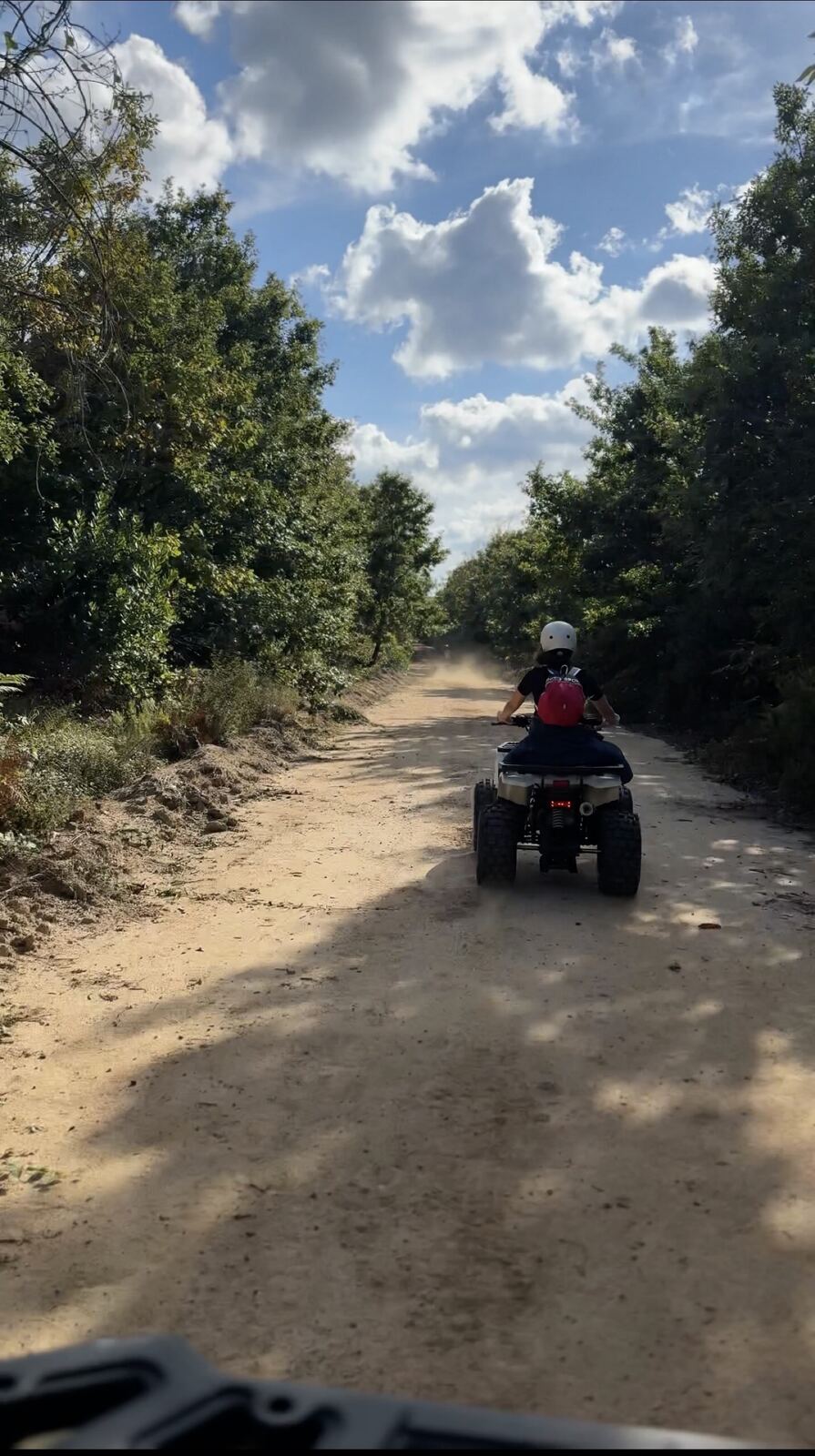 Orman yolunda ATV safari, Çilek Vadisi